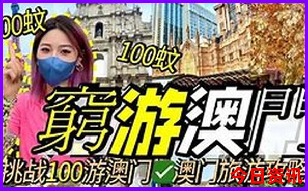 p3开奖视频直播